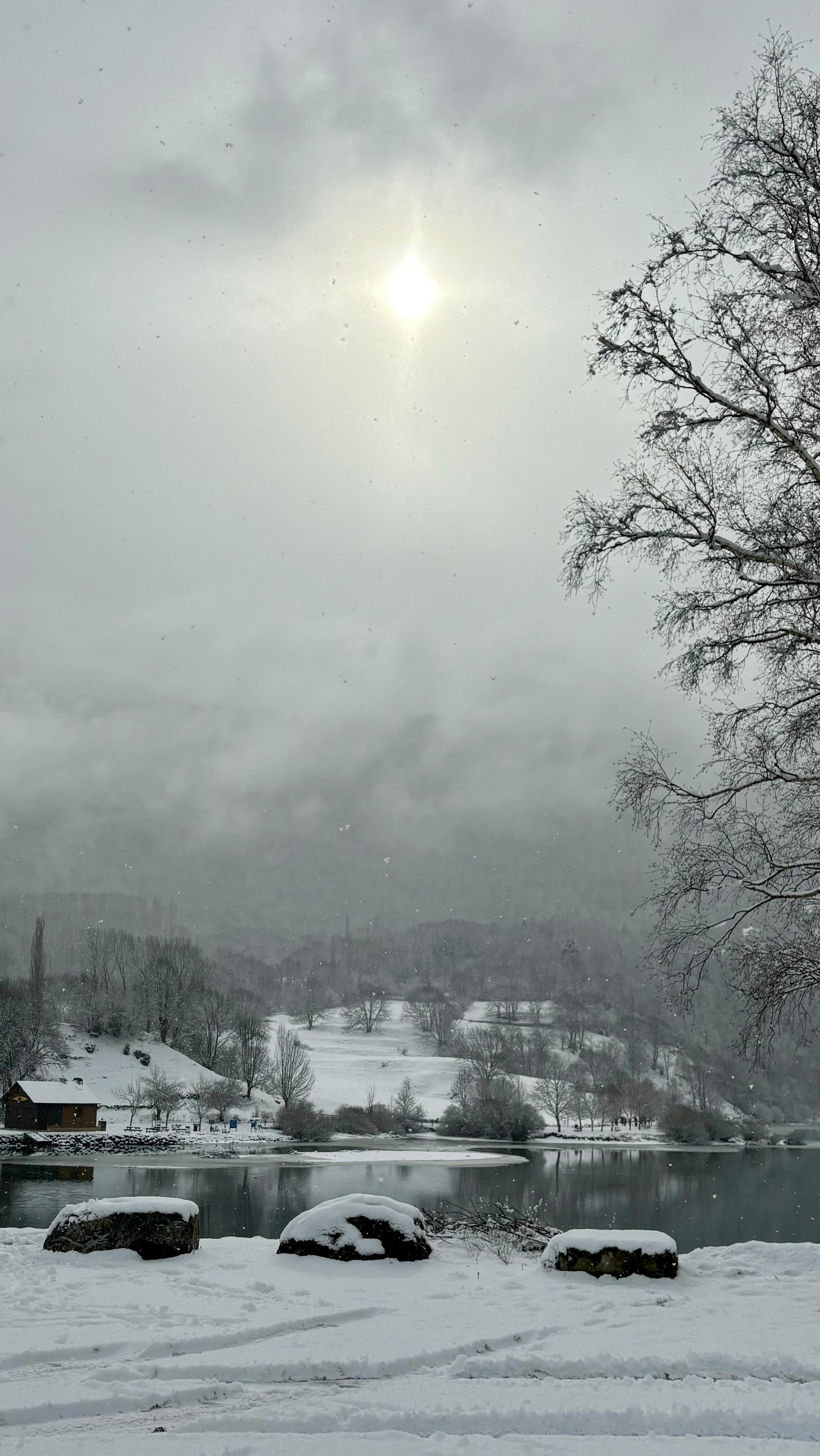 Un aplauso ❄️❄️❄️
.
.
.
#eriste #valledebenasque #nieve