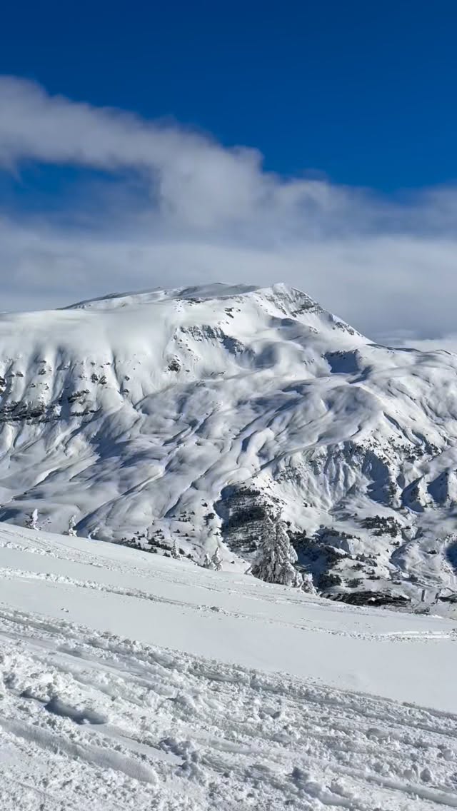 El día de hoy ha sido para enmarcar ❄️🎿
.
📍@cerleraramon
.
.
.
#valledebenasque #nieve